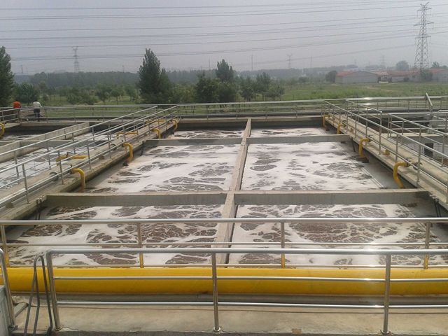 1542695995101701.jpg 2015072021.jpg